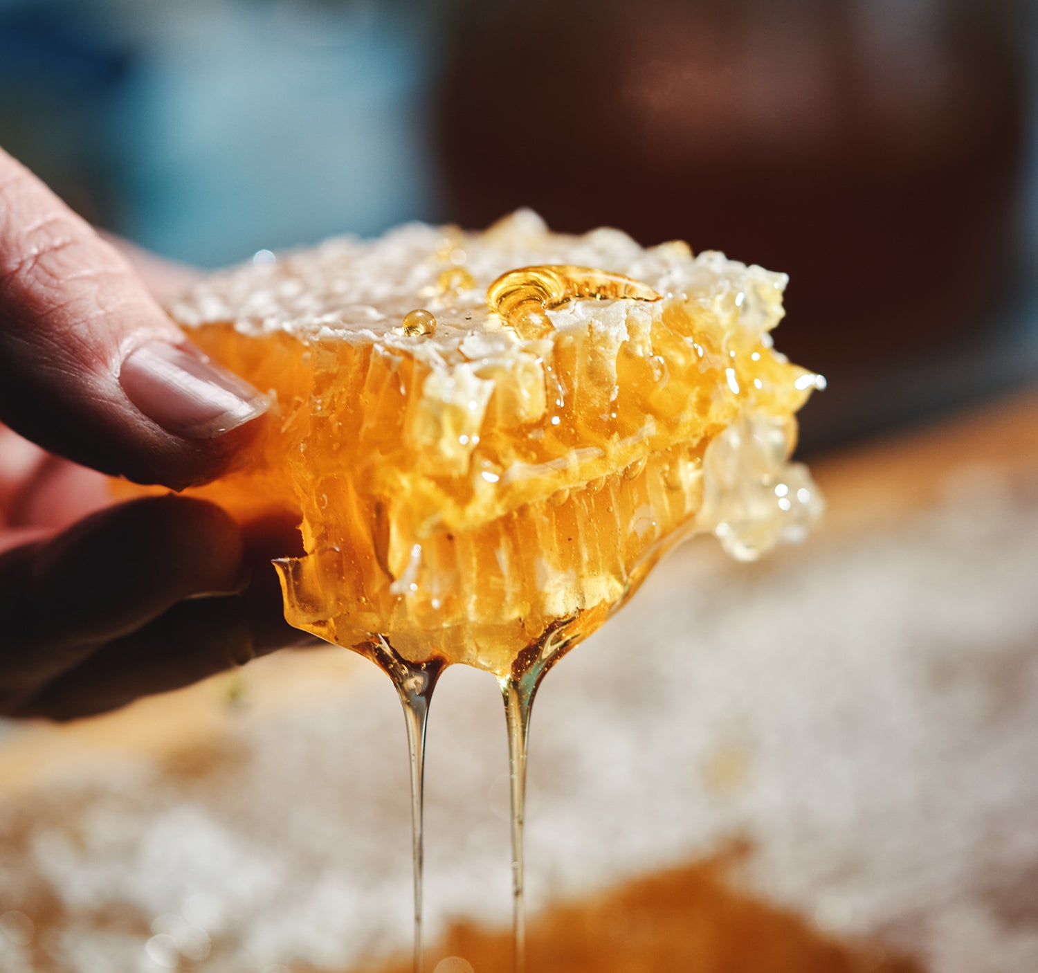 Stück einer Bienenwabe aus der Honig läuft