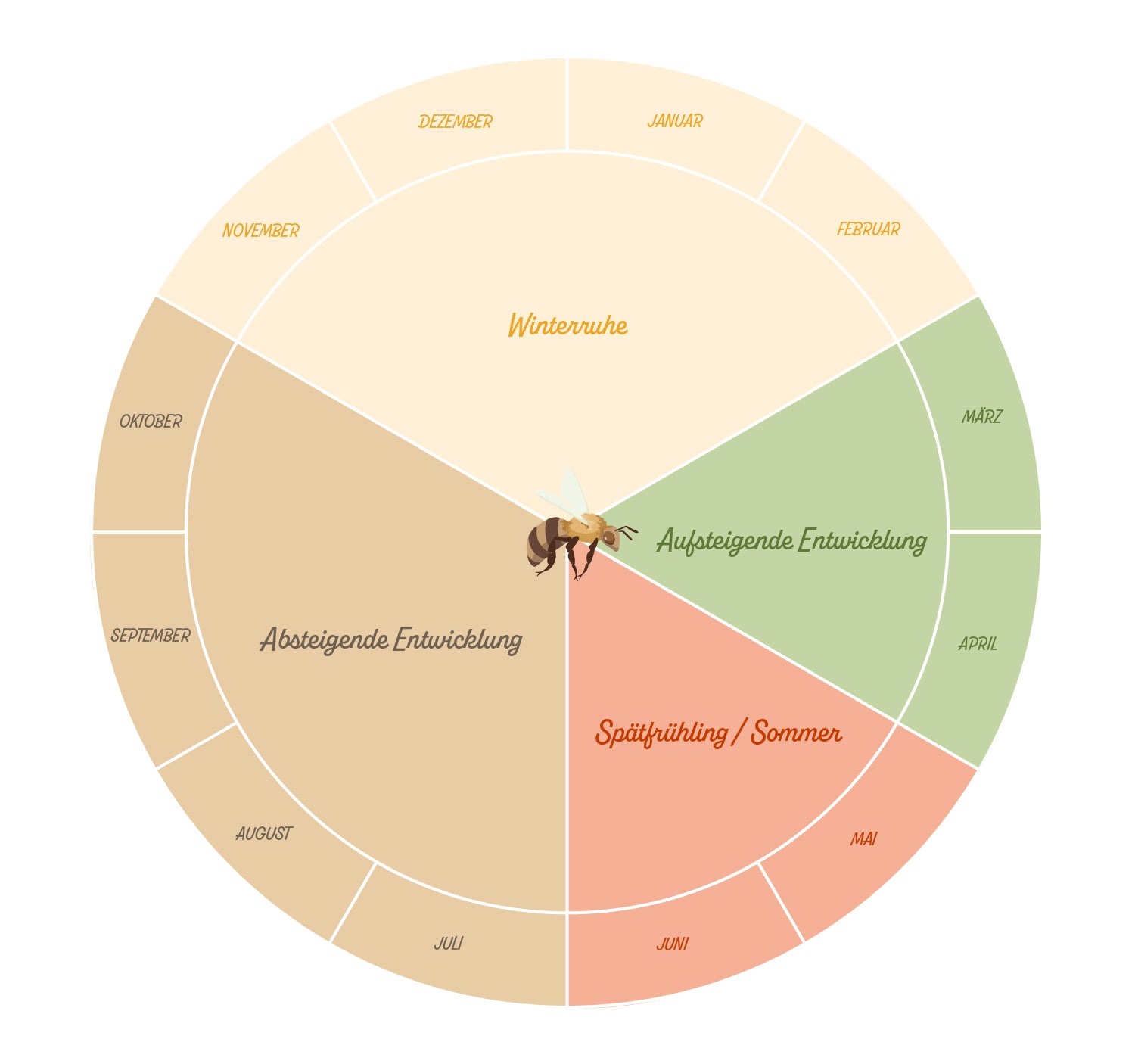 Kreislauf des Bienenjahres